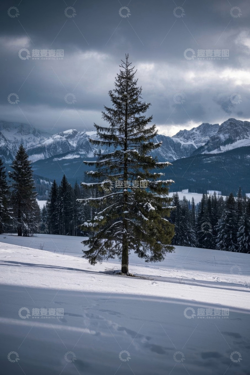 高清大图下载【趣麦麦图】雪中山林松树风景