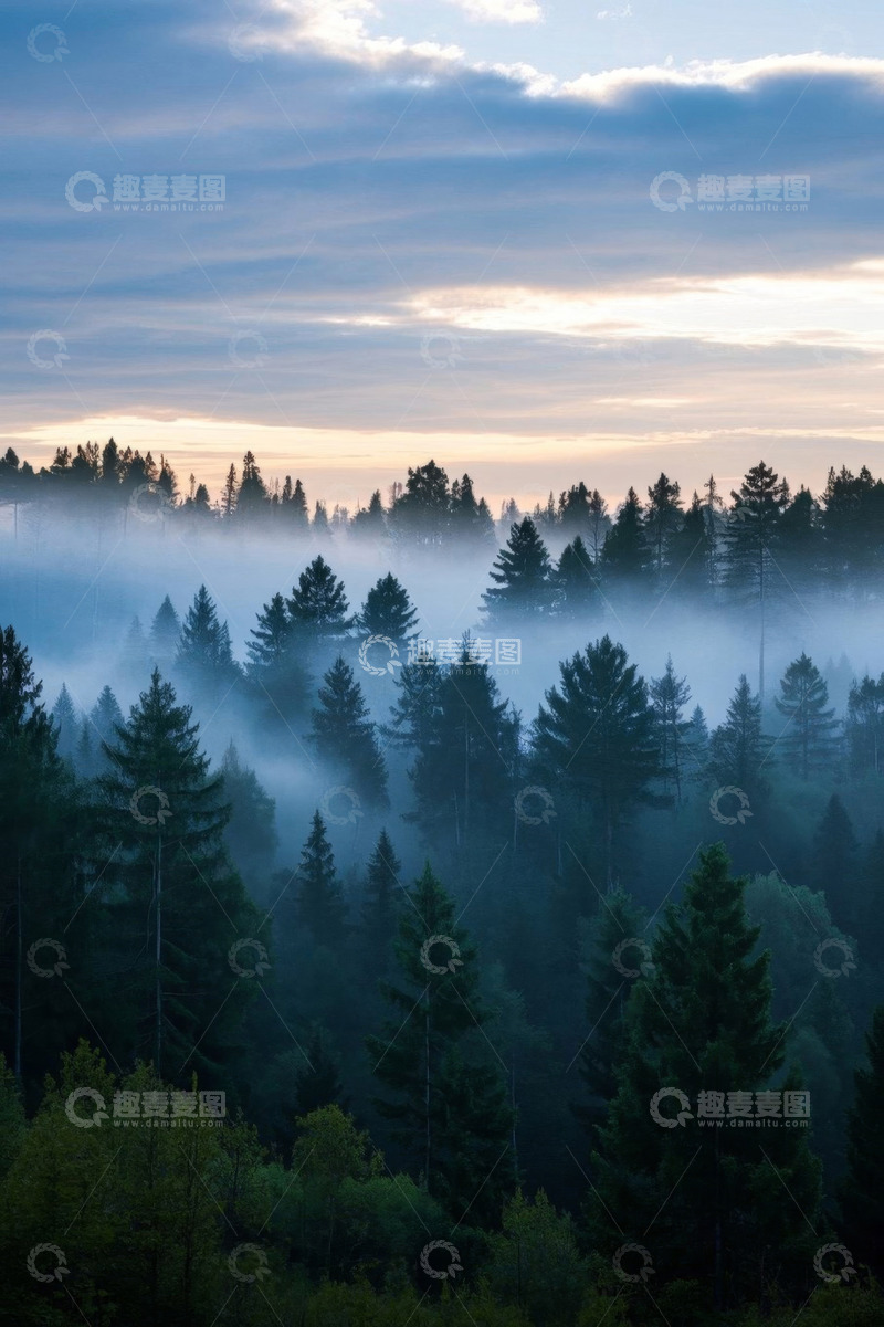 高清大图下载【趣麦麦图】晨雾中的茂密森林全景