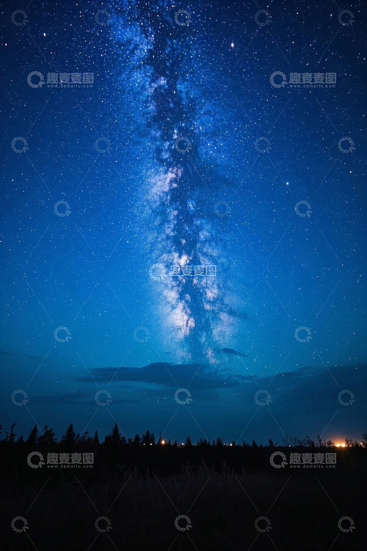 夜空下的璀璨星河与森林景观
