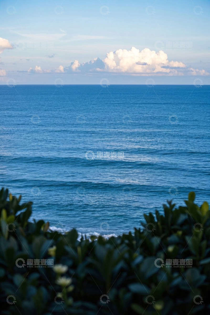 高清大图下载【趣麦麦图】近景海洋与岸边绿植景观