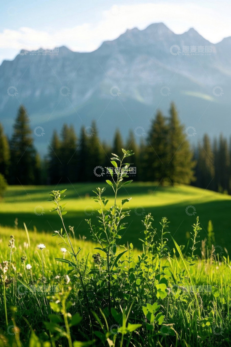 高清大图下载【趣麦麦图】山间草地与远处山脉自然风光