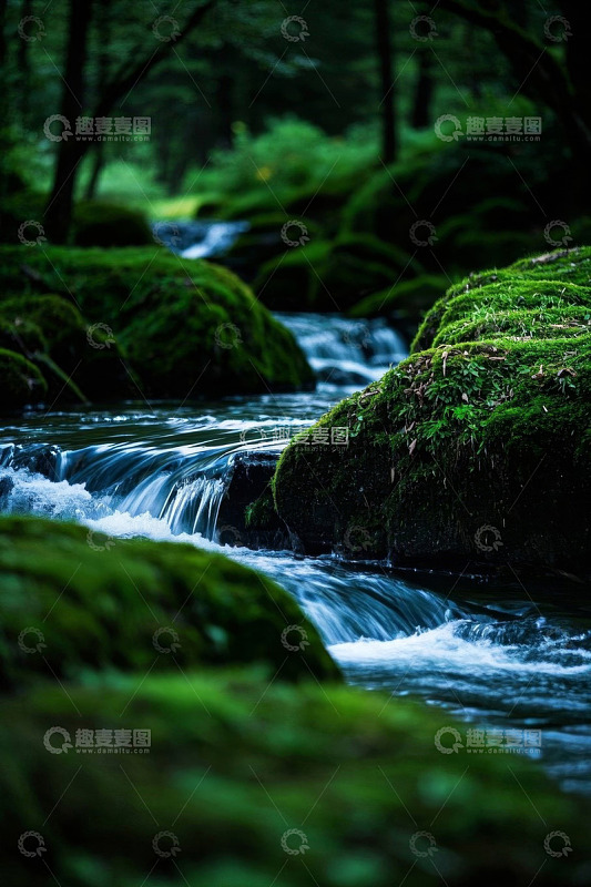 森林中潺潺溪流风景