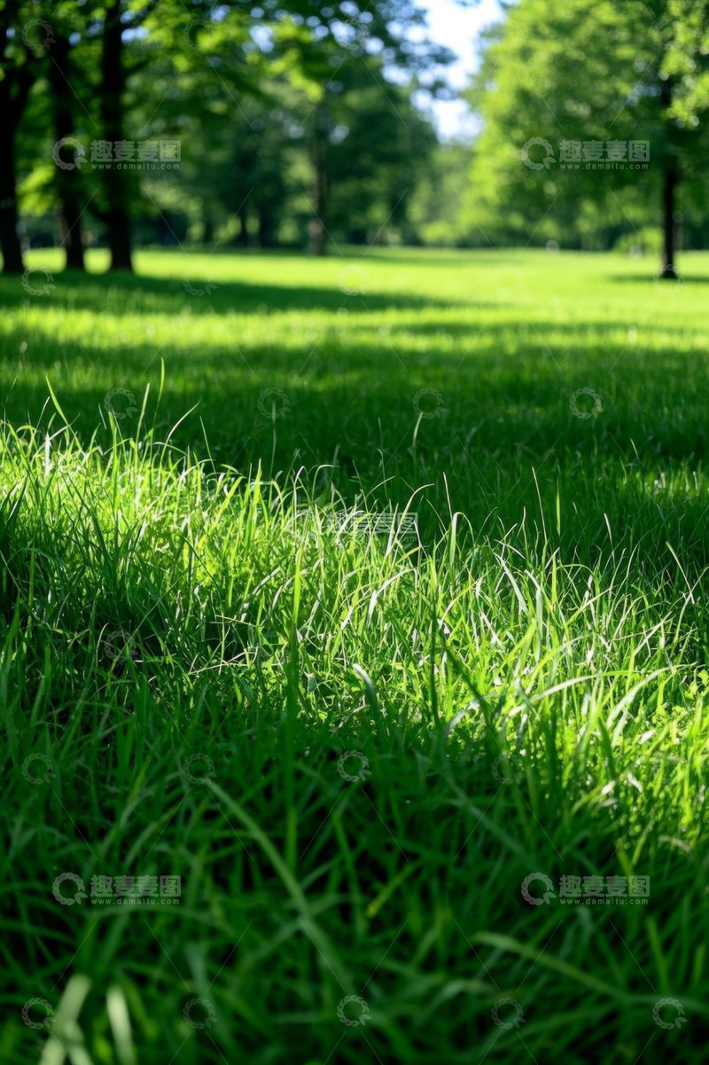 高清大图下载【趣麦麦图】阳光下的草地与树林景观