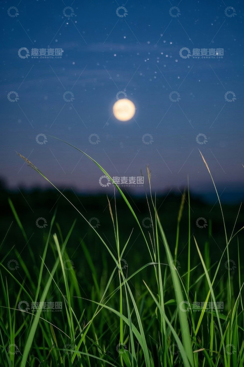高清大图下载【趣麦麦图】月夜下的草地与星空景象