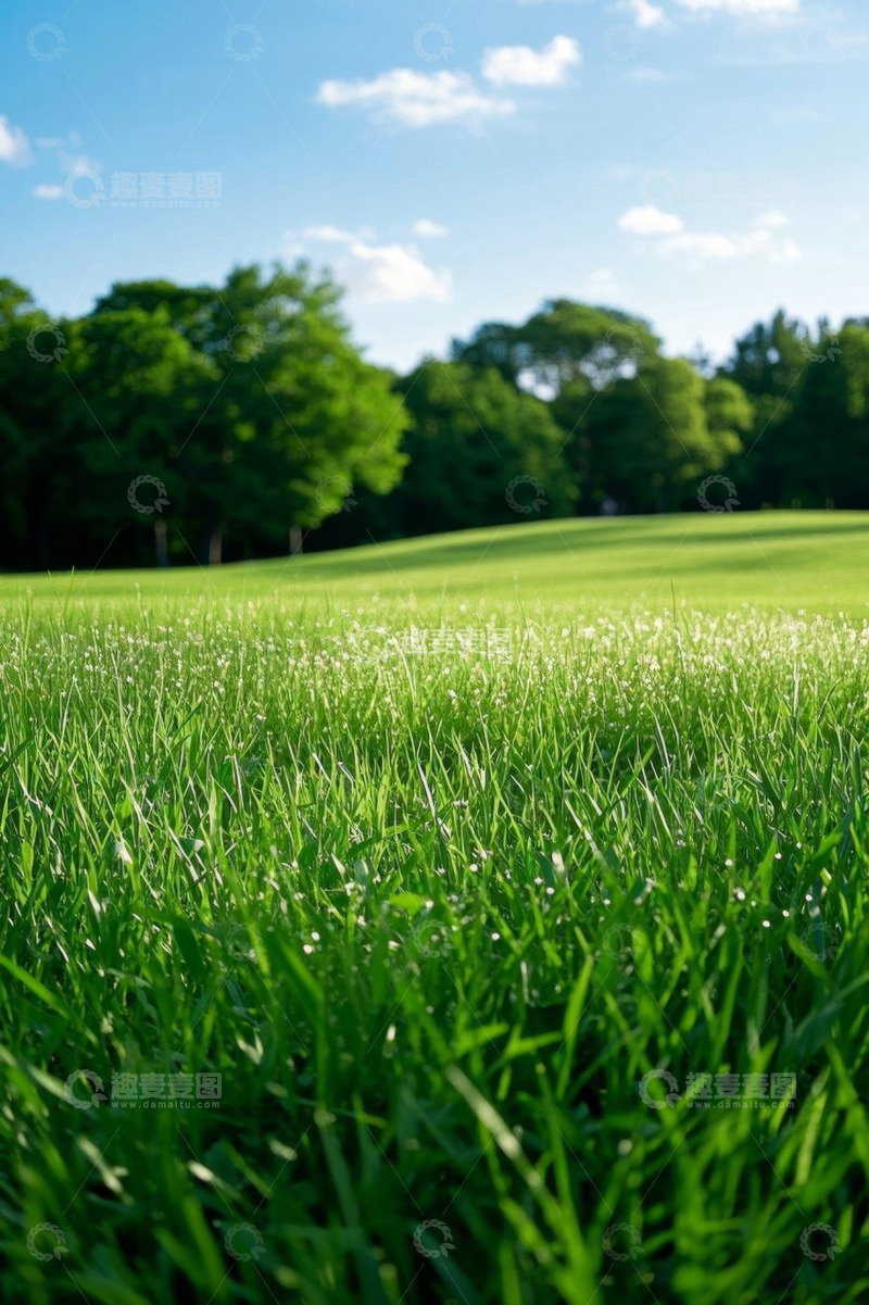 高清大图下载【趣麦麦图】阳光照耀下的绿色草地与树林