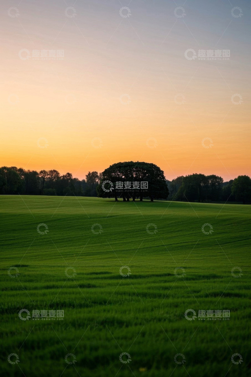 高清大图下载【趣麦麦图】黄昏下的绿色草地与树木景观