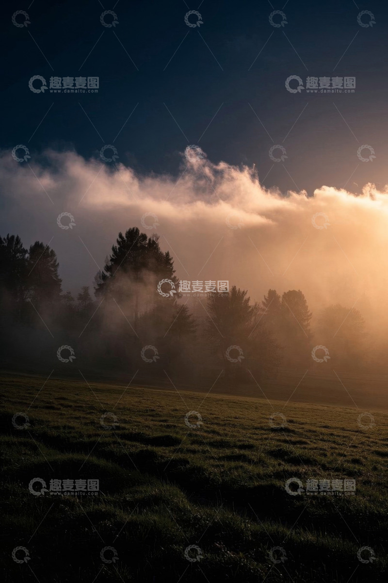高清大图下载【趣麦麦图】晨雾中森林与草地景观
