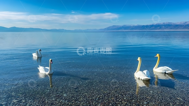 高清大图下载【趣麦麦图】湖天鹅景自然风光摄影图片