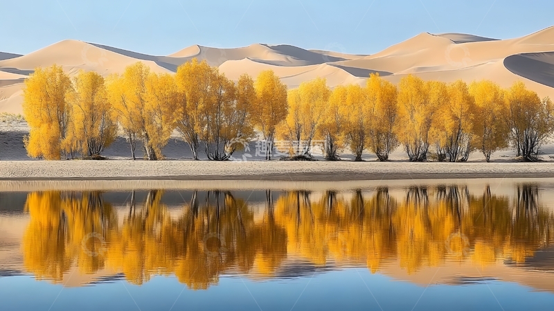 高清大图下载【趣麦麦图】沙漠金黄树林倒影