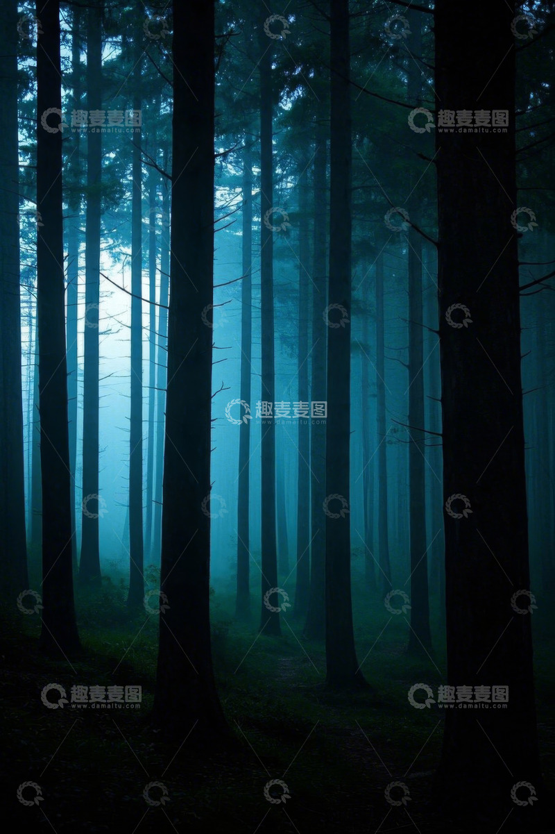 高清大图下载【趣麦麦图】迷雾中的静谧森林
