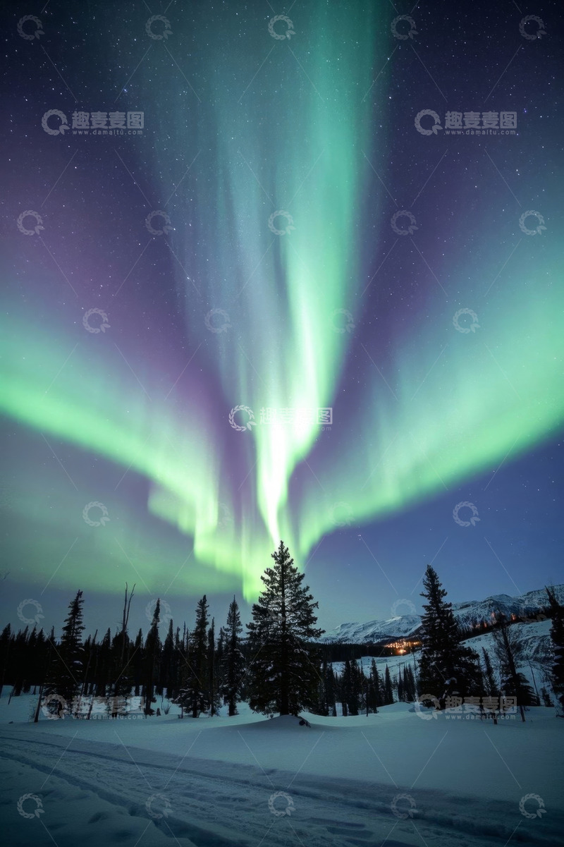 高清大图下载【趣麦麦图】雪地森林上空的绿色极光