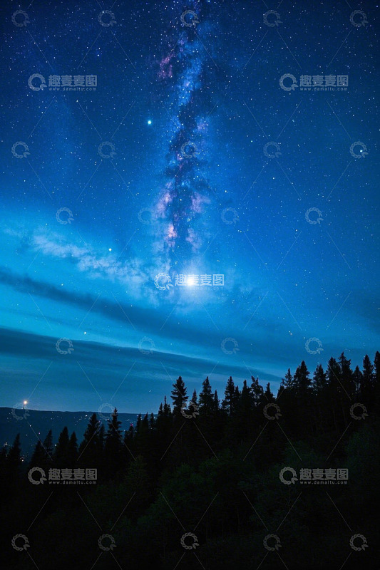 森林夜空下的璀璨星河