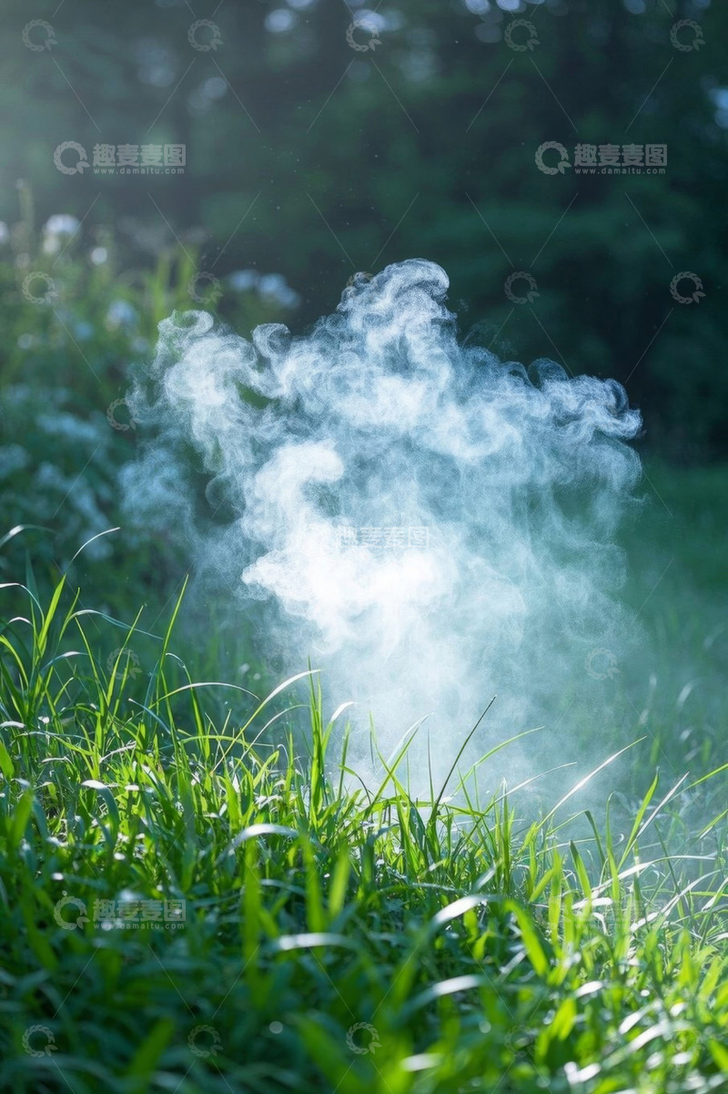 高清大图下载【趣麦麦图】草地上的烟雾自然景象