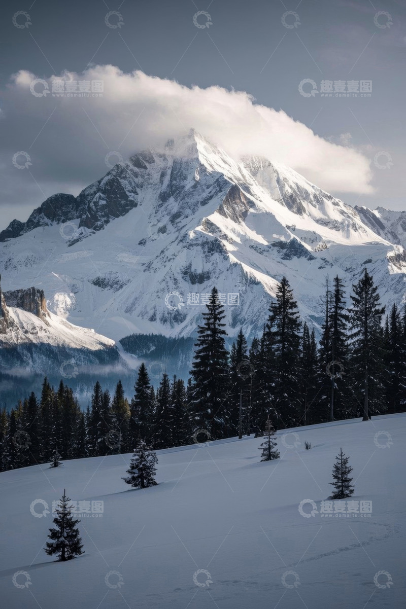 高清大图下载【趣麦麦图】雪山下的森林雪景