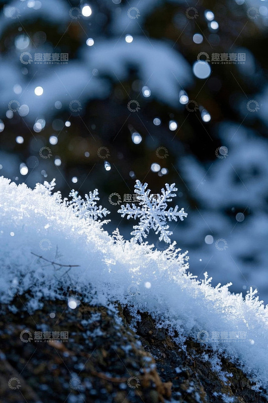 微距下的雪花与积雪特写