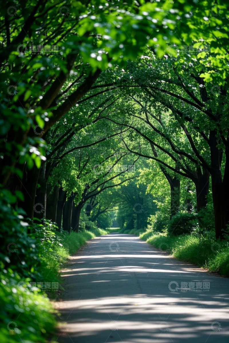 高清大图下载【趣麦麦图】林间绿荫小道自然风光