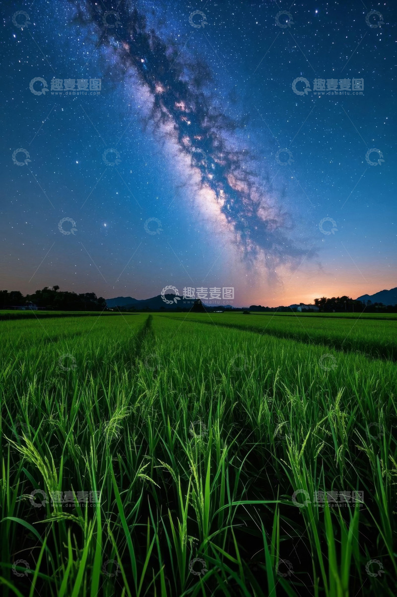 高清大图下载【趣麦麦图】田野星空夜景素材