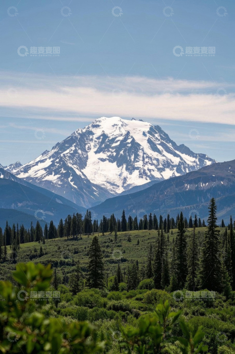 高清大图下载【趣麦麦图】雪覆高山下的茂密森林景观