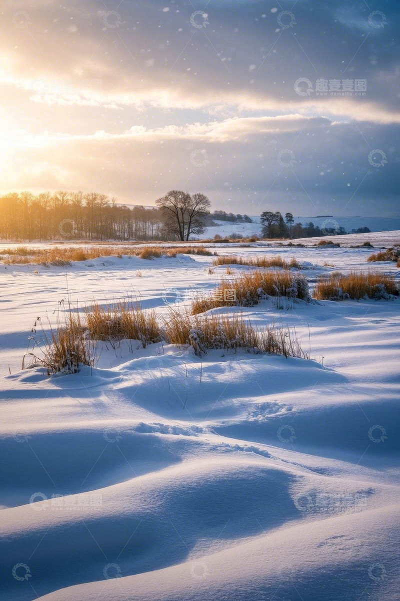 高清大图下载【趣麦麦图】雪覆盖的原野与远处树林景观