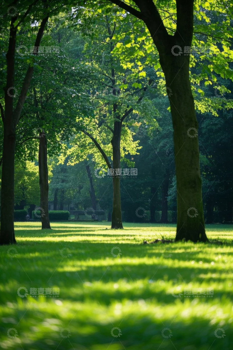 高清大图下载【趣麦麦图】阳光照耀下的森林绿地景观