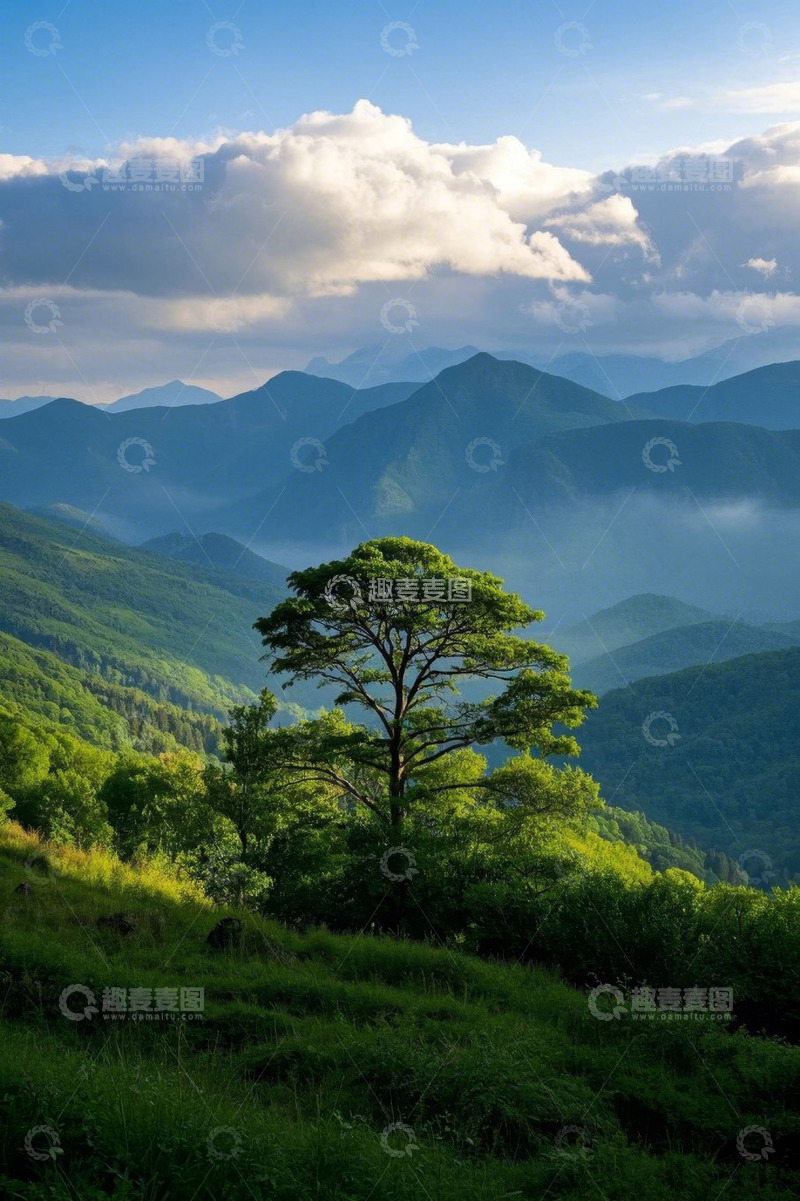 高清大图下载【趣麦麦图】山间绿树自然风光