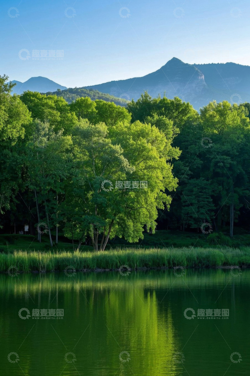 高清大图下载【趣麦麦图】湖边森林与远山自然风光
