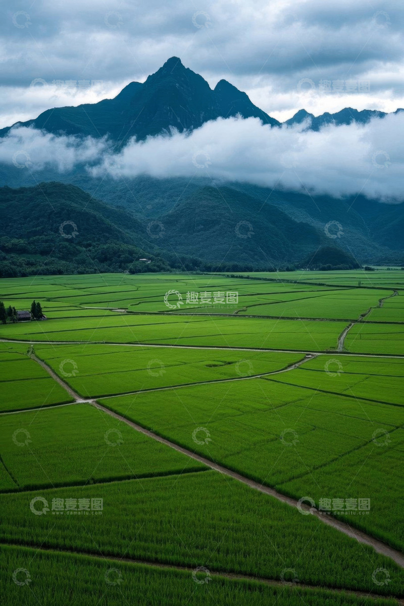 高清大图下载【趣麦麦图】航拍青山下的绿色稻田