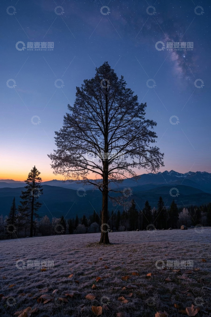 高清大图下载【趣麦麦图】旷野孤树星空黄昏自然景观