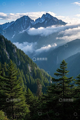 山林间云雾缭绕的山脉景观