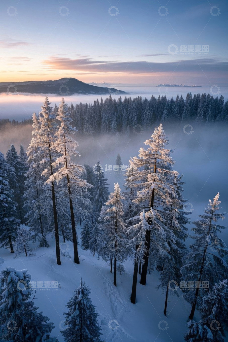 高清大图下载【趣麦麦图】雪覆森林日出自然风光