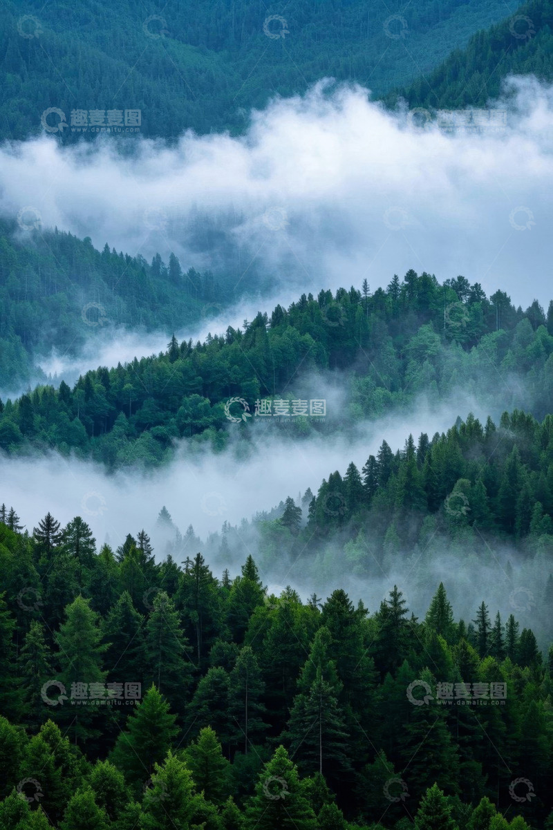 高清大图下载【趣麦麦图】山林间云雾缭绕的森林景观