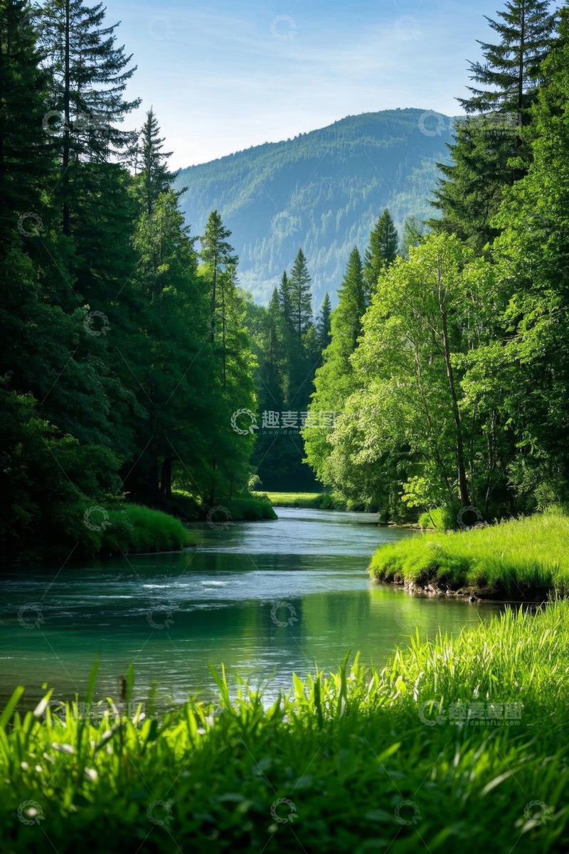 高清大图下载【趣麦麦图】森林河流自然风光全景