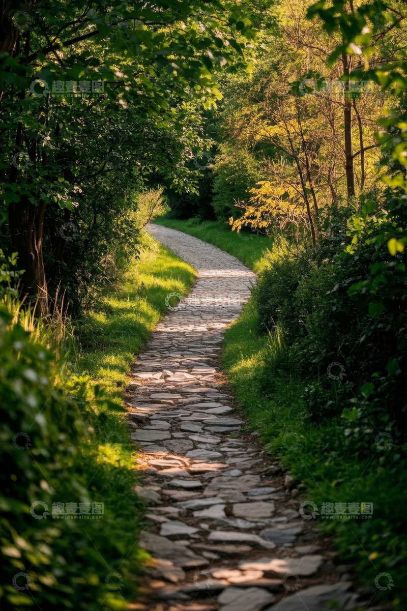 高清大图下载【趣麦麦图】林间石板小径自然风光
