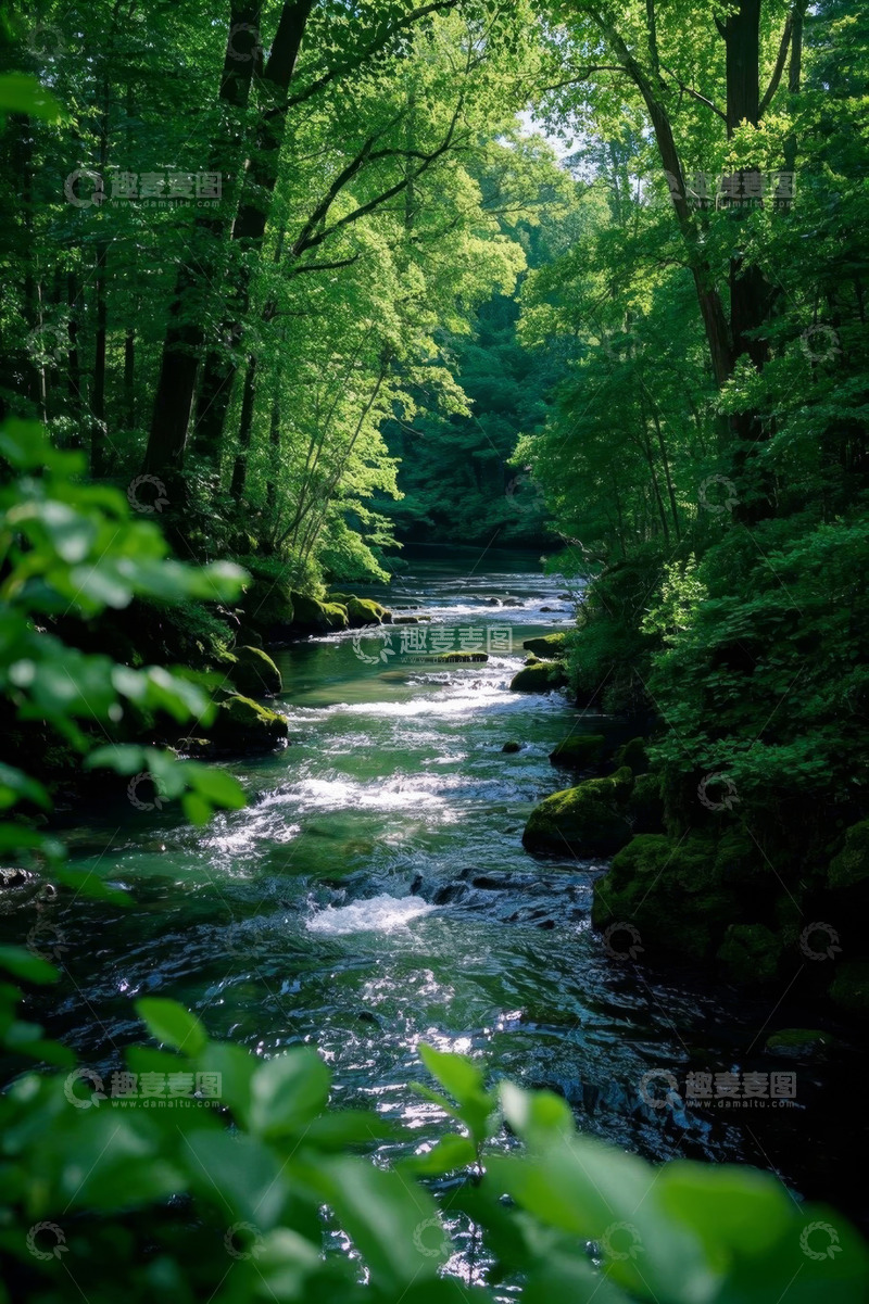 高清大图下载【趣麦麦图】森林中流淌的清澈河流
