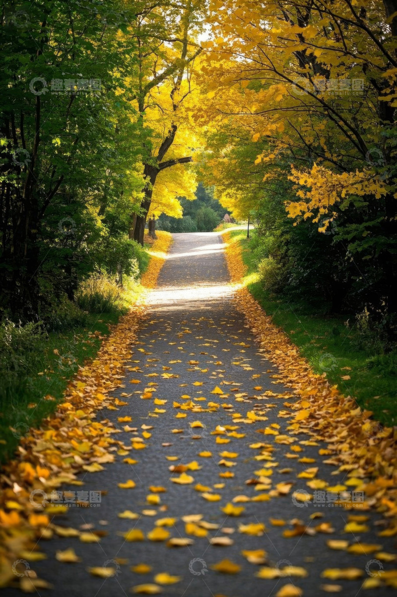 高清大图下载【趣麦麦图】秋日林间铺满黄叶的小路