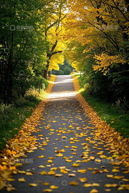 秋日林间铺满黄叶的小路