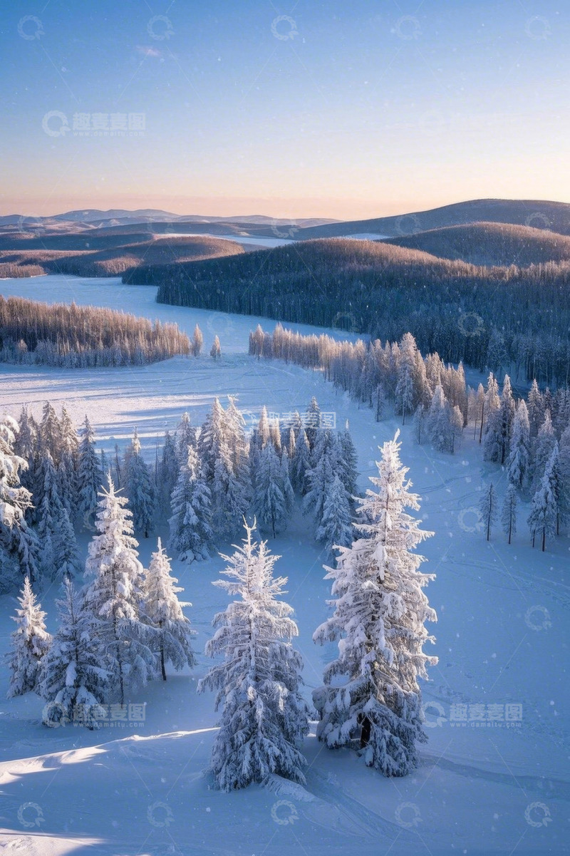 高清大图下载【趣麦麦图】冬季雪覆盖的森林自然景观
