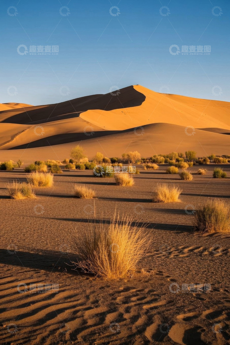 高清大图下载【趣麦麦图】沙漠沙丘与植被景观