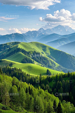 青山森林与远山的自然景观