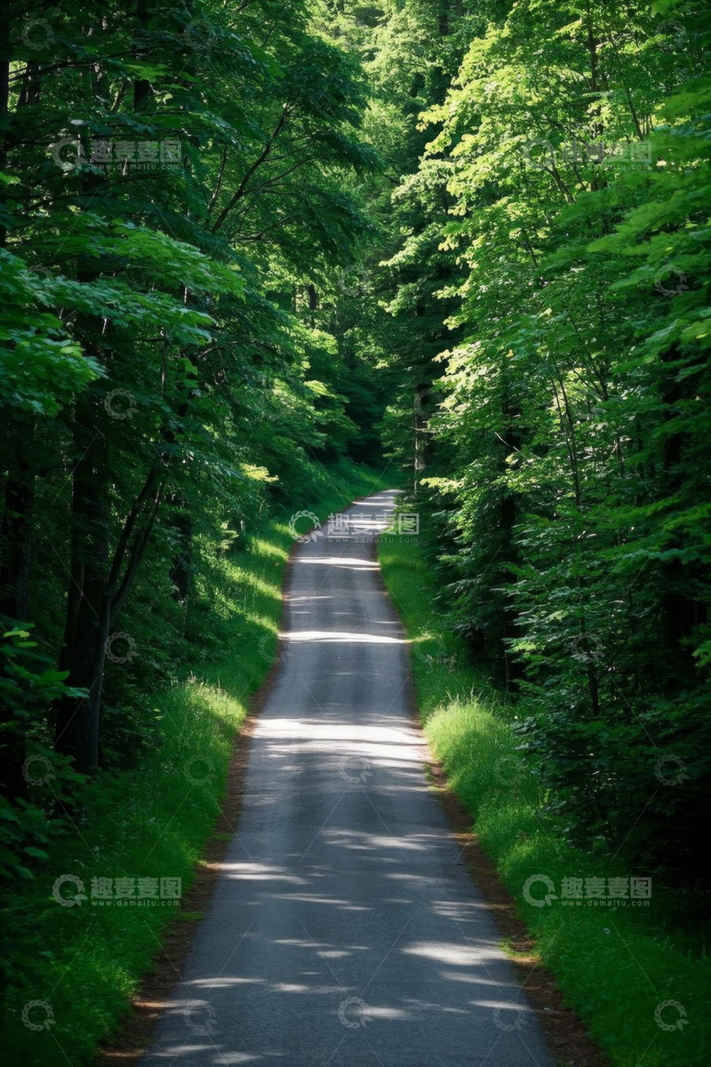 高清大图下载【趣麦麦图】森林中的蜿蜒道路