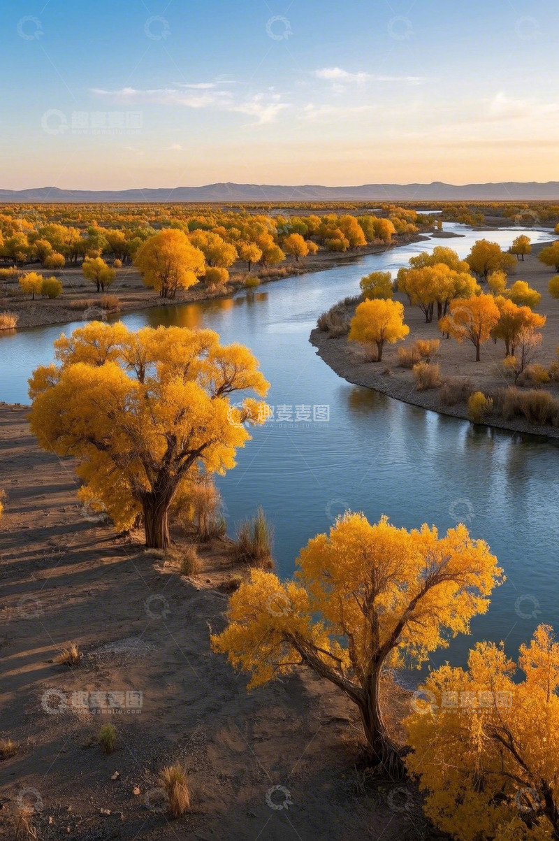 高清大图下载【趣麦麦图】河畔金秋胡杨林风光