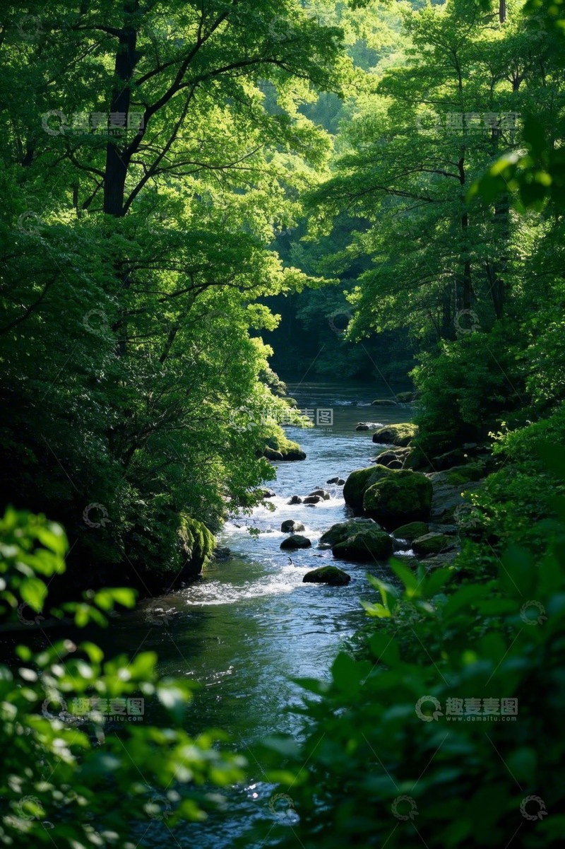 高清大图下载【趣麦麦图】森林中河流自然风光