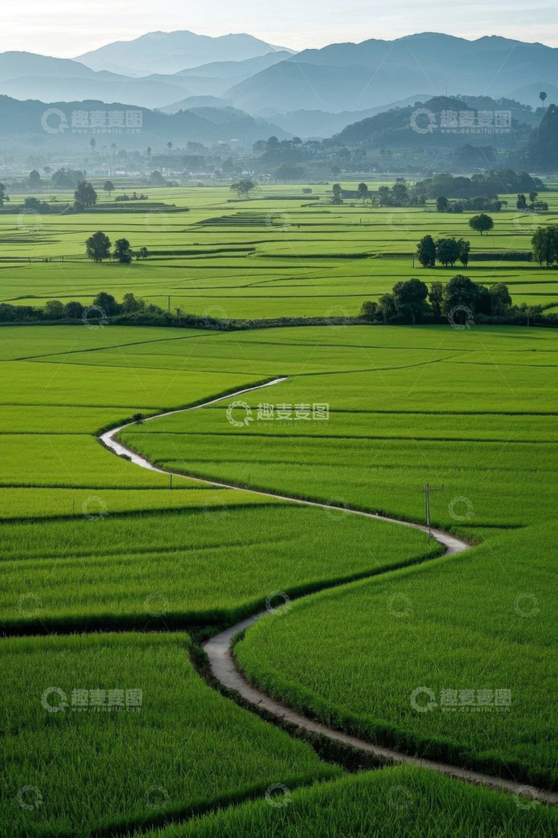 高清大图下载【趣麦麦图】田园风光中的蜿蜒田间小路
