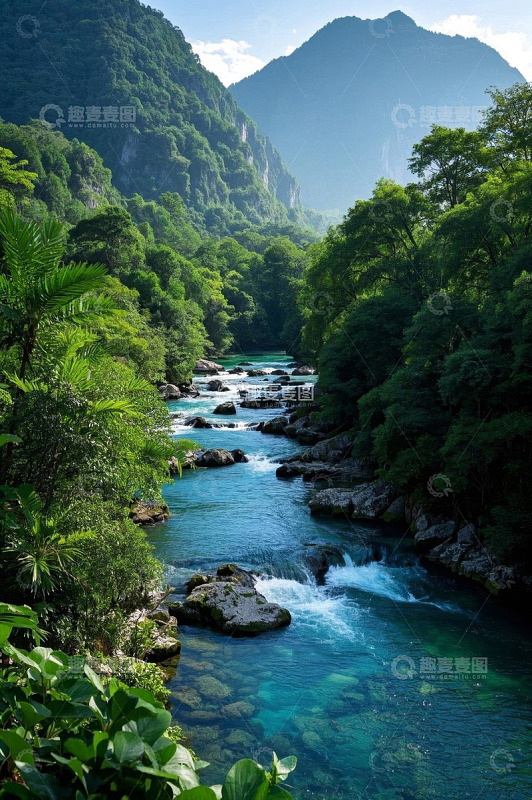 山间河流与葱郁森林景观