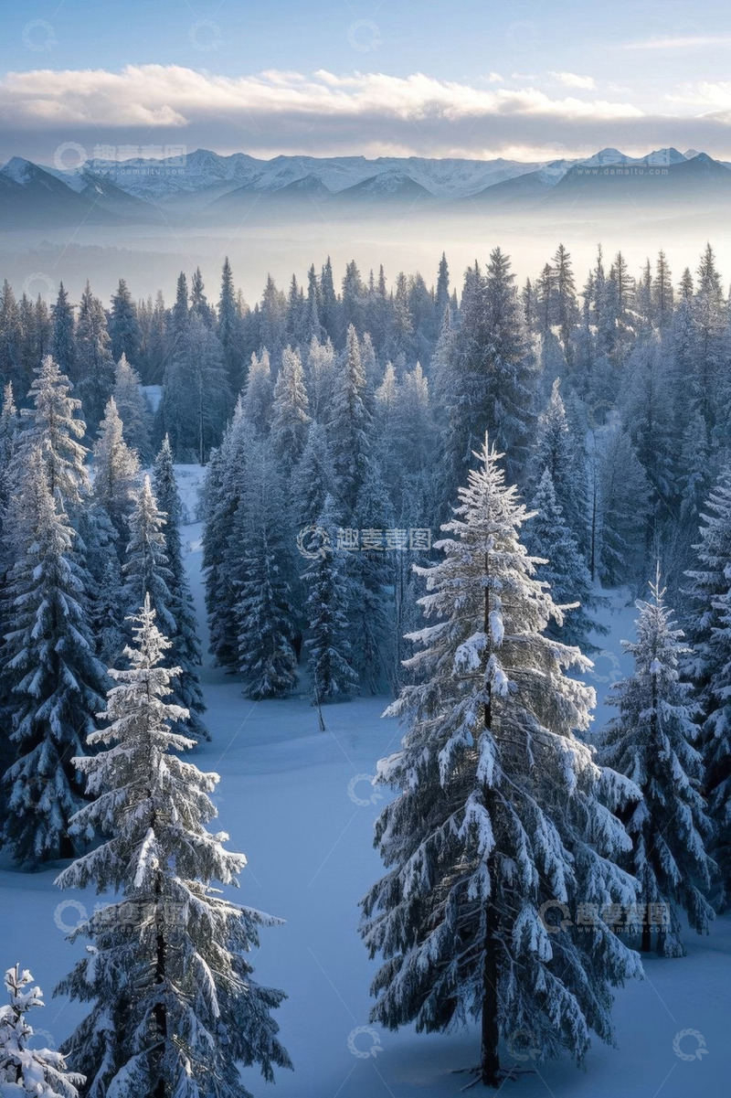 高清大图下载【趣麦麦图】冬日雪覆森林全景