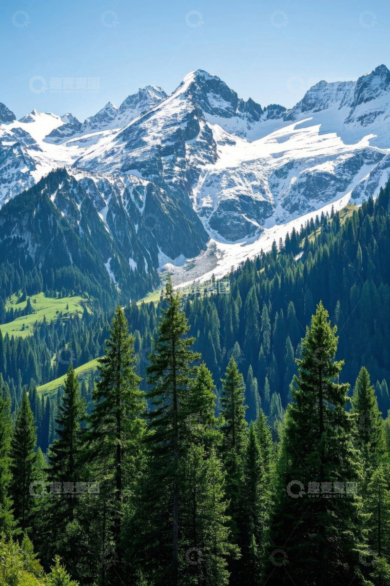 高清大图下载【趣麦麦图】雪山下的森林自然风光