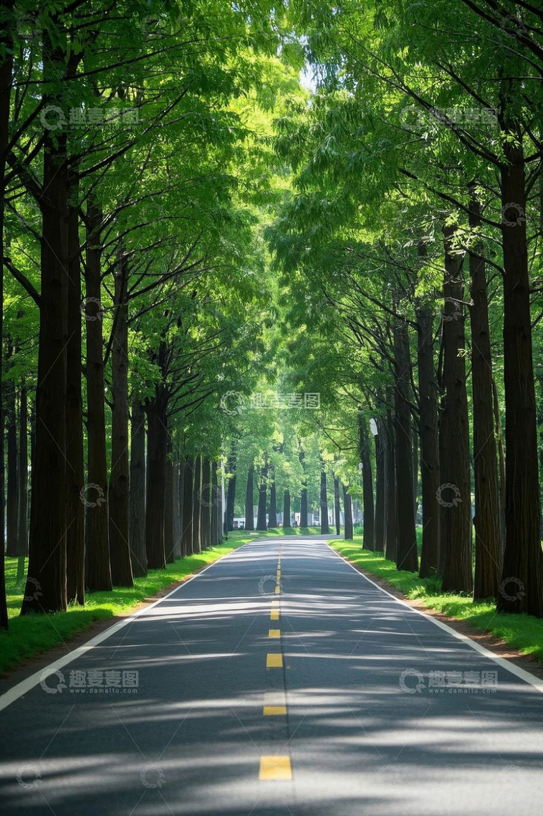 林间道路绿色自然风景