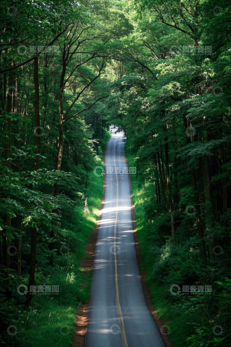 高清大图下载【趣麦麦图】森林中的蜿蜒道路