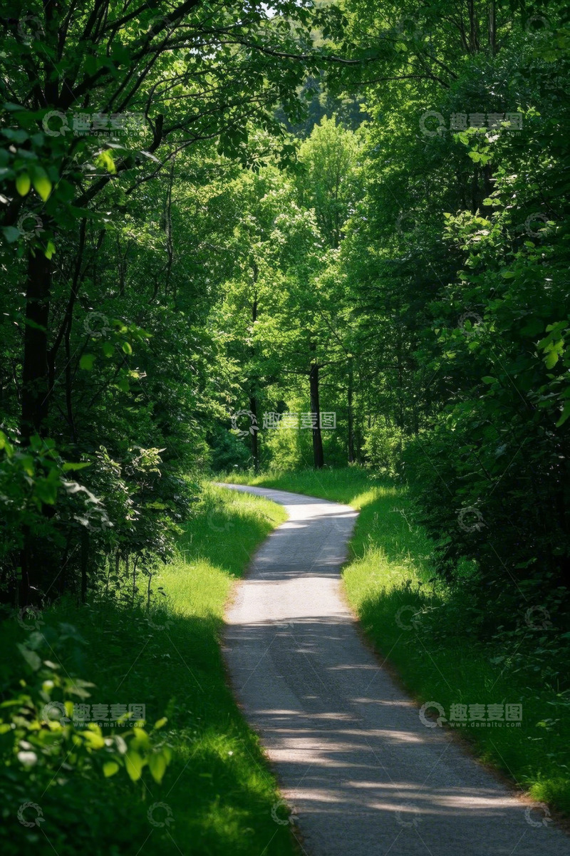 高清大图下载【趣麦麦图】林间蜿蜒小路自然景象
