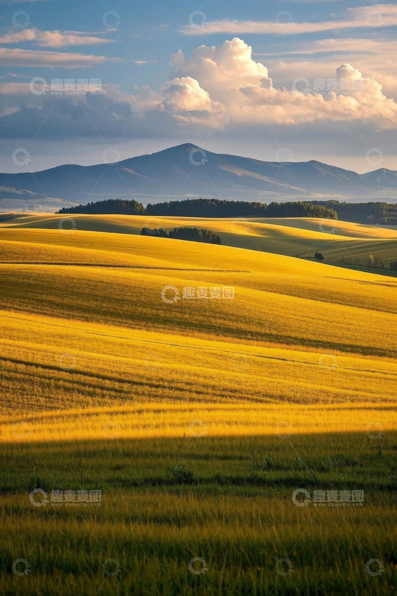 高清大图下载【趣麦麦图】金色田野与远山天空景观
